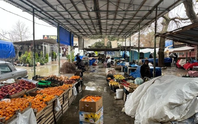 Neftçala ərzaq bazarında nöqsanlar aşkarlandı - VİDEO
