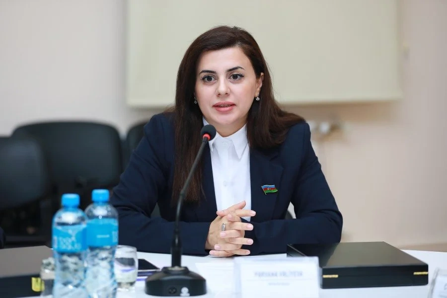 Pərvanə Vəliyeva: "Qərbi Azərbaycana sülh yolu ilə qayıdış məsələsi diqqət mərkəzində olmalıdır"