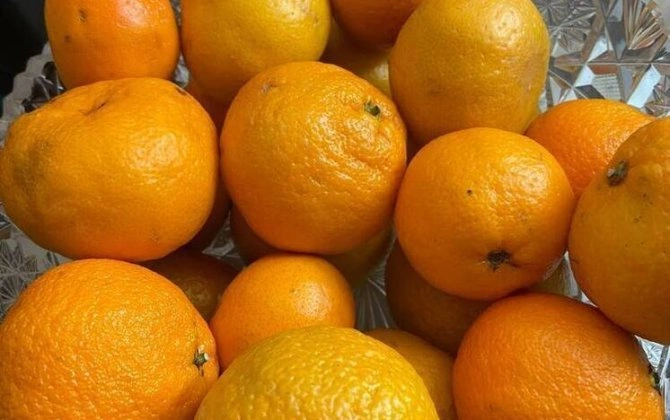 "C vitamini ilə ağ ciyərlərinizi çirklənmiş havadan qorumaq mümkündür" - Elmi tədqiqat