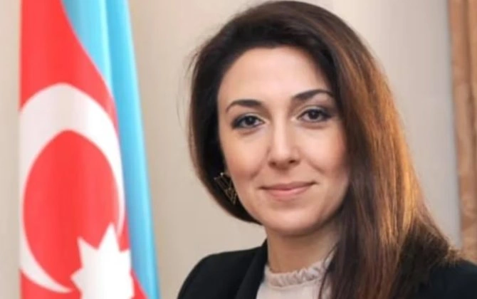 Vəzifəsindən azad edilən Nərgiz Qurbanova kimdir? - DOSYE