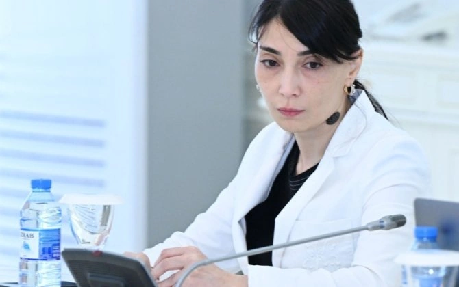 Səkinə Əliyeva: "İllərlə gözlədiyimiz bir anın hüquqi bazası, çərçivəsi yaranır"