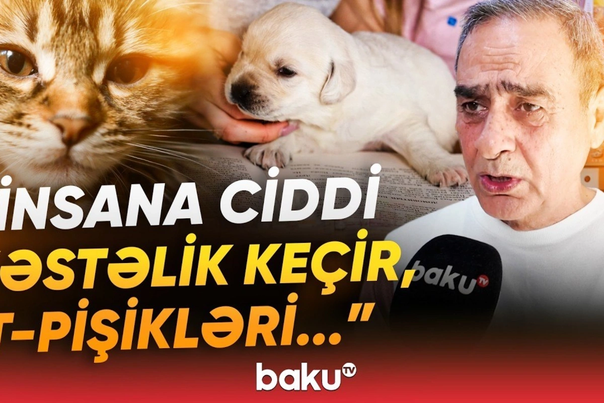 Nəqliyyatdan istifadə edəndə buna görə 200 manat cərimə oluna bilərsiniz - Baku TV
