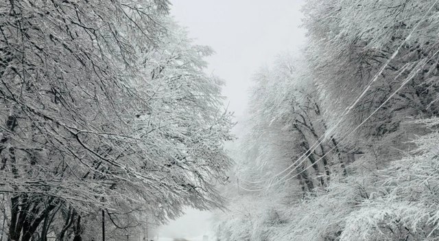 Bakı-Şamaxı-Yevlax yolu buz bağladı - FOTO
