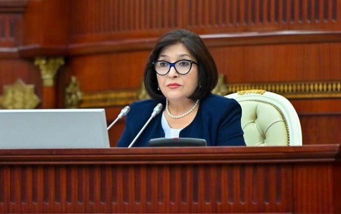 Sahibə Qafarova: "Milli Məclis ötən ili uğurla başa vurub"