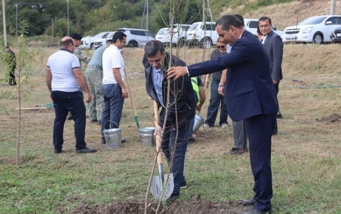 Xocalıda Anım Gününə həsr olunmuş ağacəkmə aksiyası keçirildi - FOTO