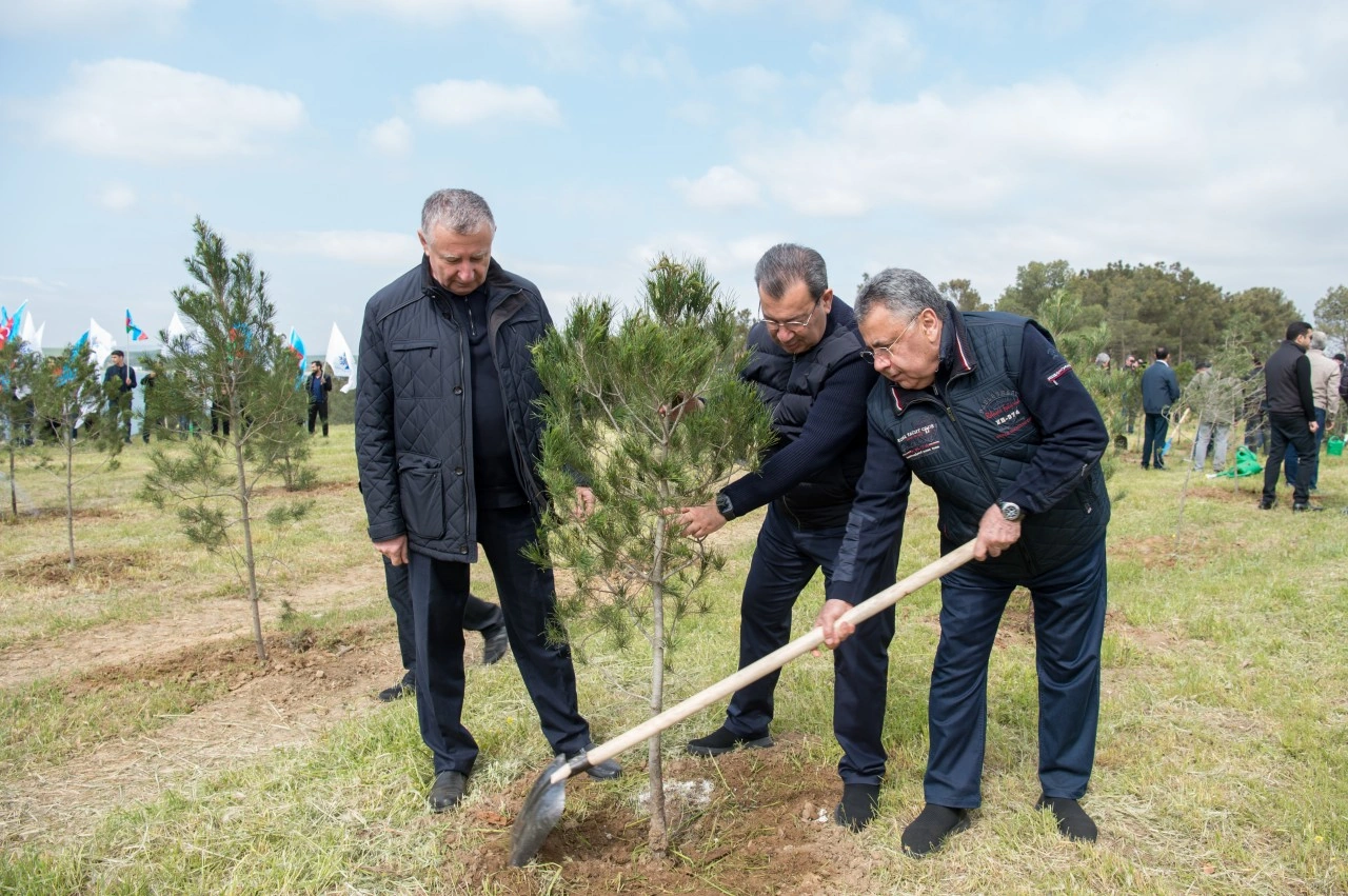 YAP Heydər Əliyevin 103 illiyi ilə əlaqədar ağacəkmə aksiyası keçirdi - FOTOLAR