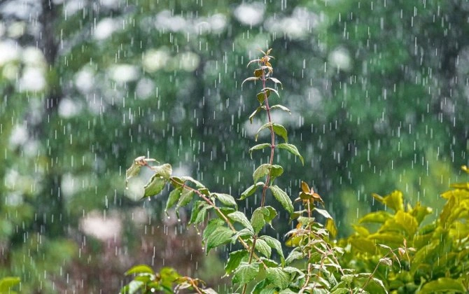 Havanın temperaturu 5 dərəcə enəcək - XƏBƏRDARLIQ