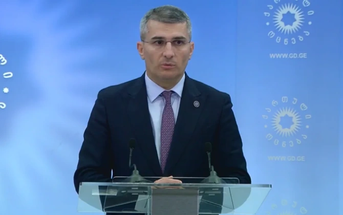Gürcüstan parlamenti Mamuka Mdinaradzenin dövlət naziri postuna təyinatını təsdiqləyib