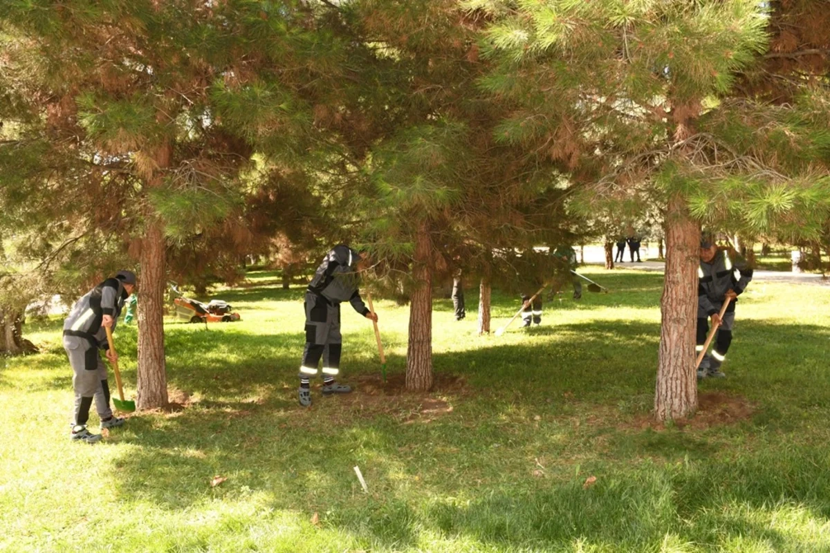 Bakıda növbəti daxili iməclik keçirilib - FOTOLAR