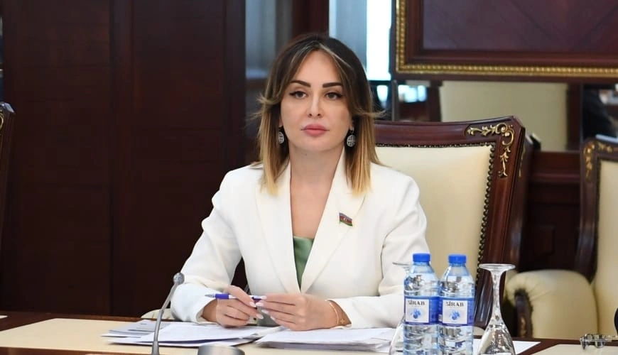 Qarabağ və Şərqi Zəngəzurda Böyük Qayıdış sürətlənir – Millət vəkilləri əsas hədəflərdən danışdı