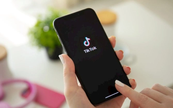 "TikTok"da deputatları və icra başçılarını söyən şəxs HƏBS OLUNDU