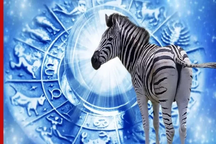 Bu BÜRCLƏR üçün ağ günlər başlayacaq