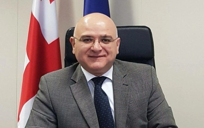 Gürcüstan ATƏT missiyasının hesabatını rədd edib