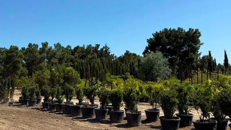 BŞİH-də təsərrüfat xidmətləri rəhbərlərinin iştirakı ilə müşavirə keçirilib - FOTO
