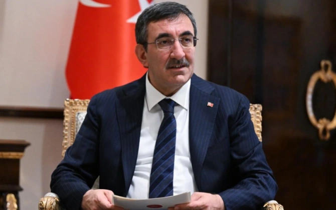 Azərbaycan və Türkiyə üçüncü ölkələrə sərmayə qoyulması sahəsində əməkdaşlıq edəcək