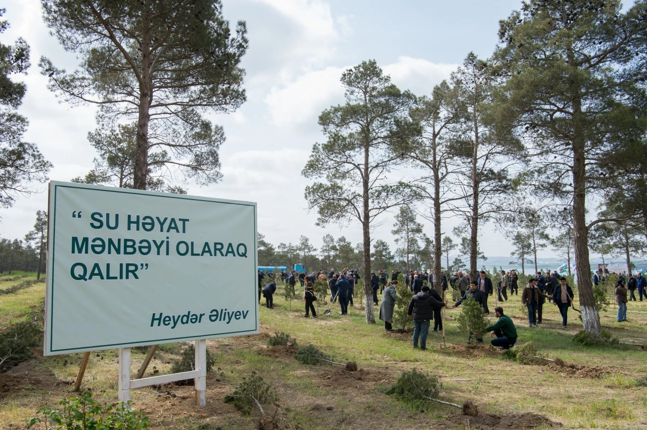 YAP Heydər Əliyevin 103 illiyi ilə əlaqədar ağacəkmə aksiyası keçirdi - FOTOLAR