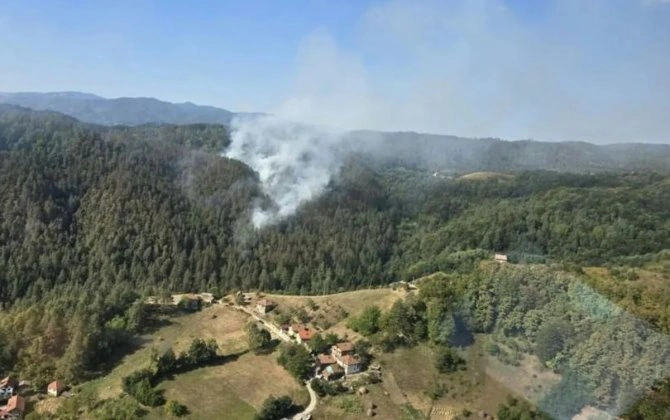 Bosniyada başlayan meşə yanğınları Xorvatiyaya keçib