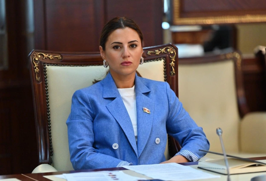 "Azərbaycanın İƏT-ə sədrliyə hazırlaşması ölkəmizə etimadın göstəricisidir" - ŞƏRH + FOTO