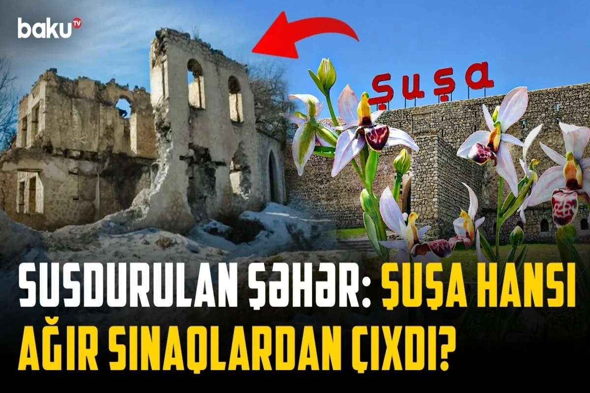 Sərhədlərə sığmayan şəhərin həqiqətləri: Şuşada illərin yarası necə sağaldı? - VİDEO