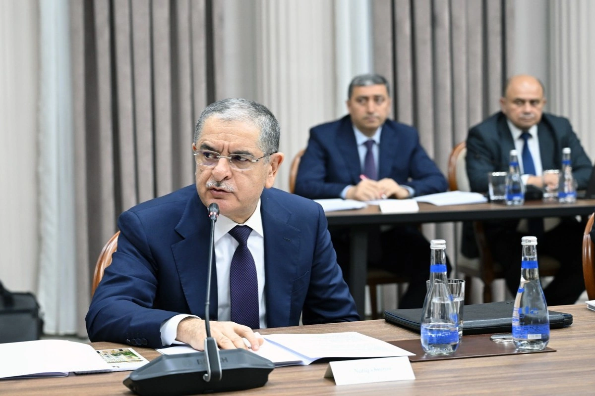 İqtisadi Şuranın iclası keçirilib - FOTO