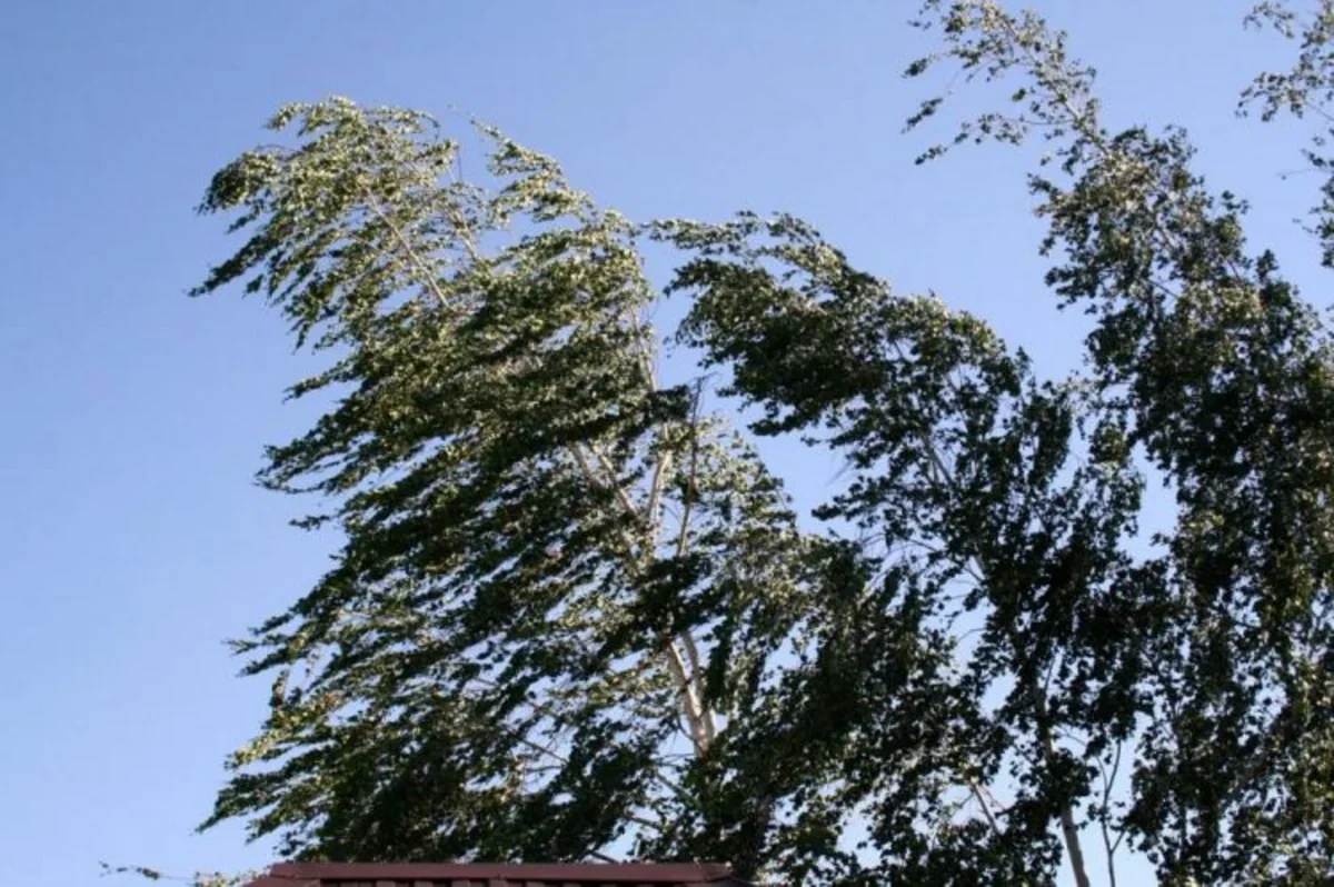 Hava ilə bağlı vacib XƏBƏRDARLIQ