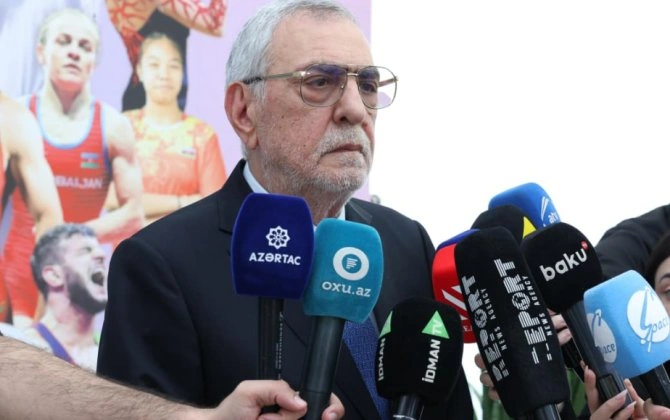 "Parisdə cüdo, boks və sərbəst güləş üzrə qazanılan medallar dəyişdirilməyəcək"