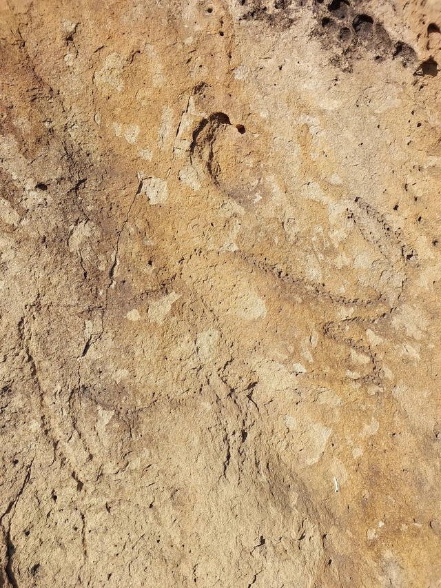 Qobustan qoruğunda yeni qayaüstü təsvir aşkarlanıb - FOTO