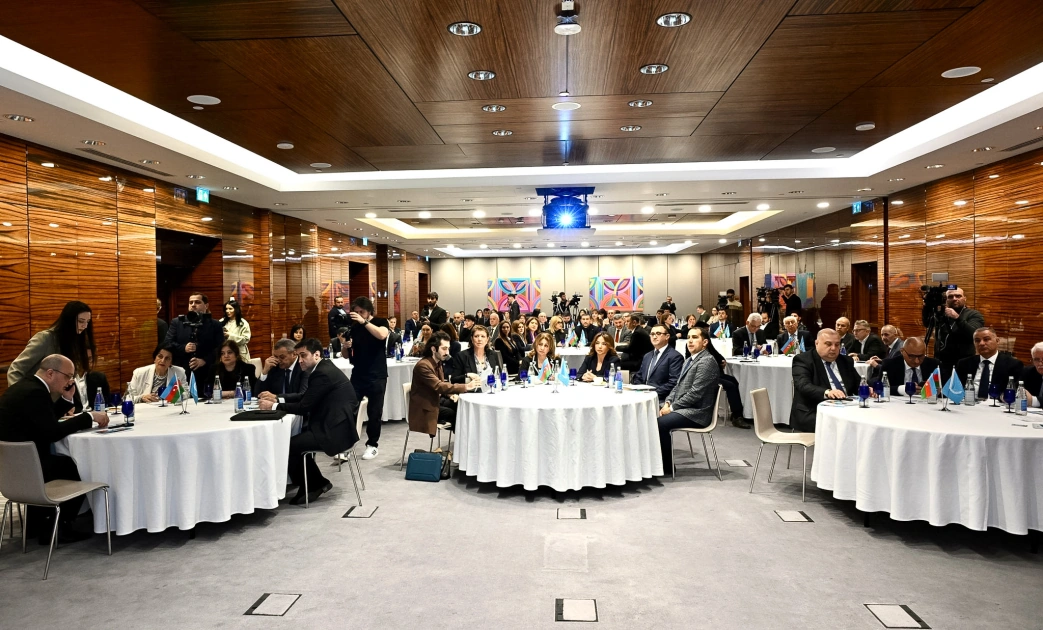 Azərbaycan QHT-ləri üçün WUF13-ə hazırlıq məqsədilə təlim təşkil olunub - FOTO