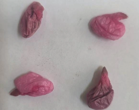 Məhkuma poçtla göndərilən bağlamada narkotik aşkarlandı - FOTO