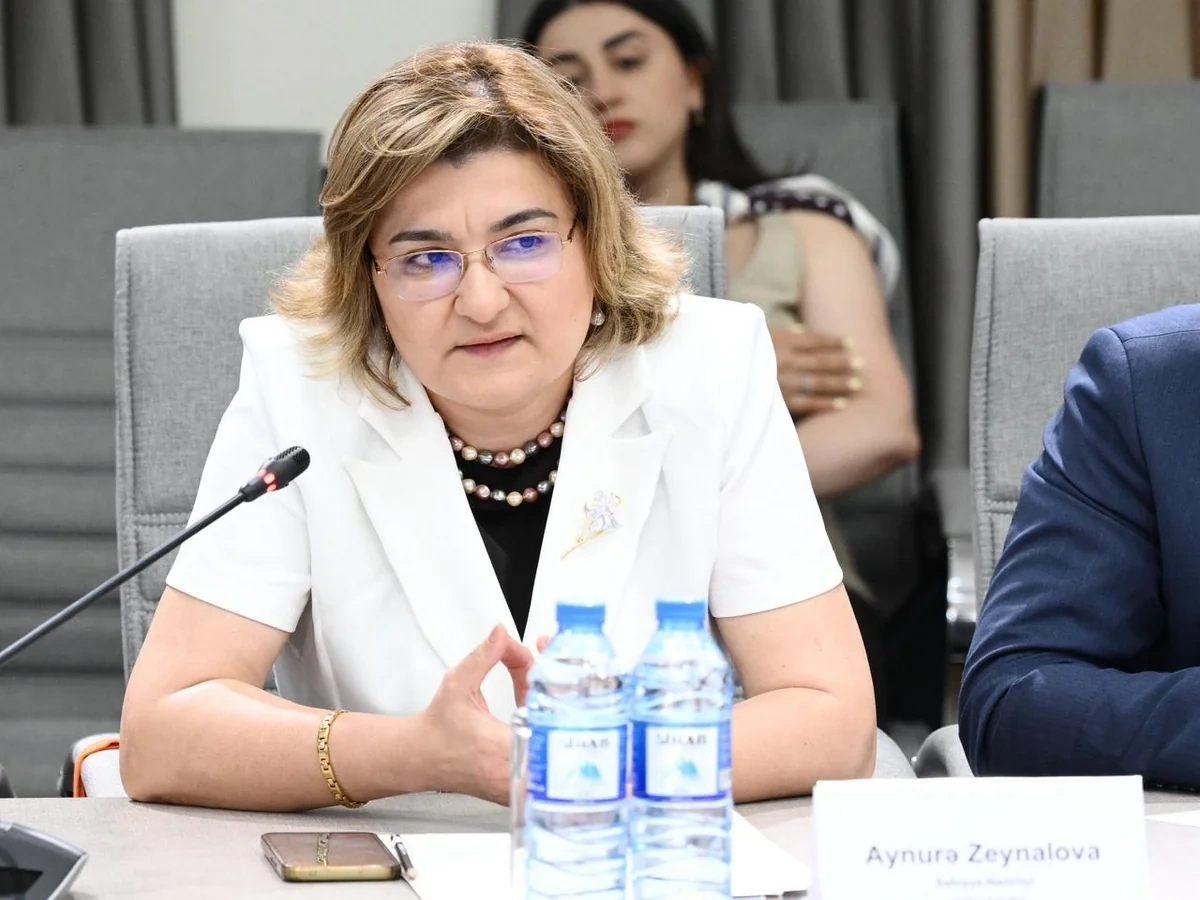 MEDİA-da uşaqların zərərli informasiyadan qorunmasına dair qanun layihəsi müzakirə olundu - FOTO