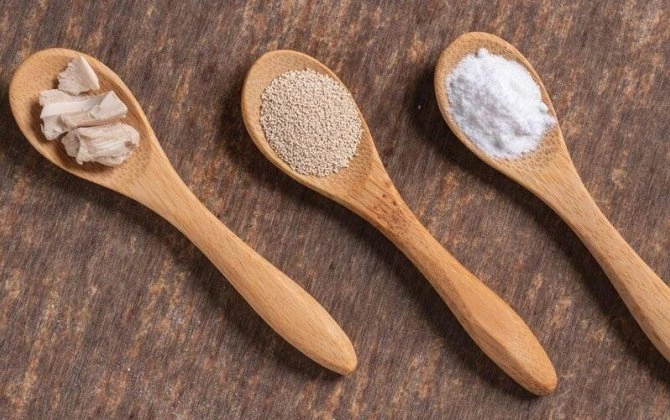 Yaş maya, yoxsa quru maya - Hansını seçməli?
