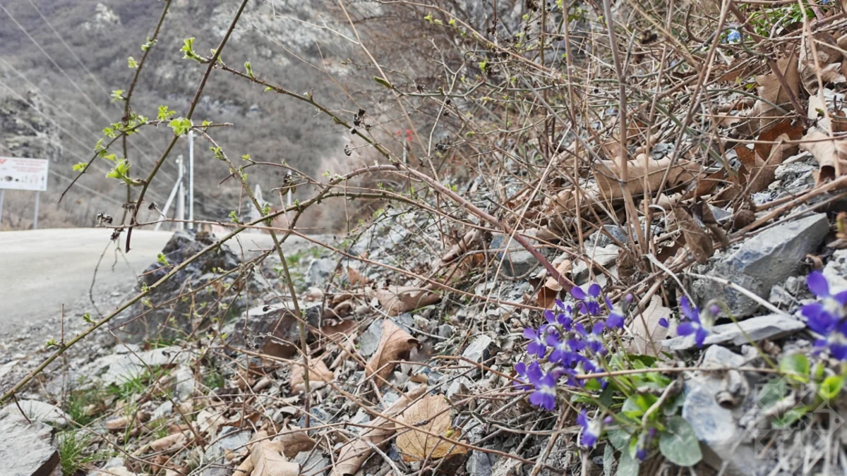 "Tunel qırğını": 33 ildən sonra hadisə yerində qan ağlayan xatirələr - FOTO