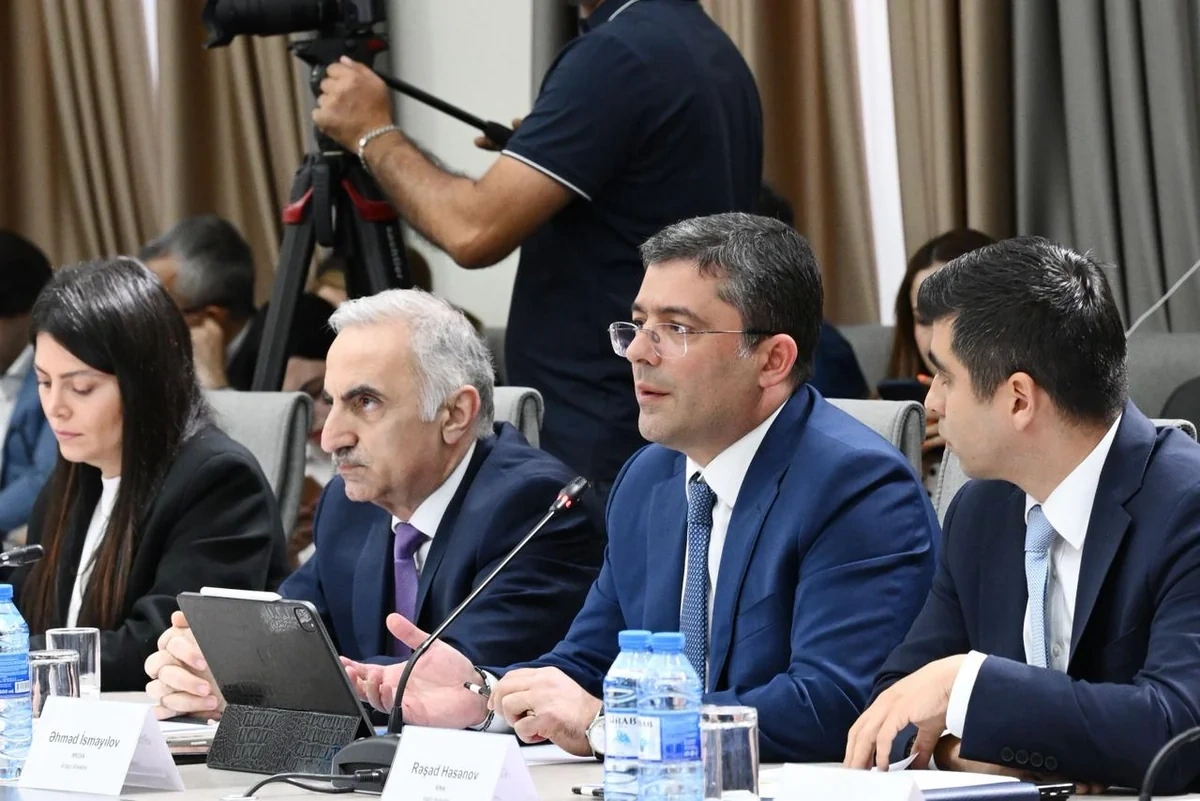 MEDİA-da uşaqların zərərli informasiyadan qorunmasına dair qanun layihəsi müzakirə olundu - FOTO