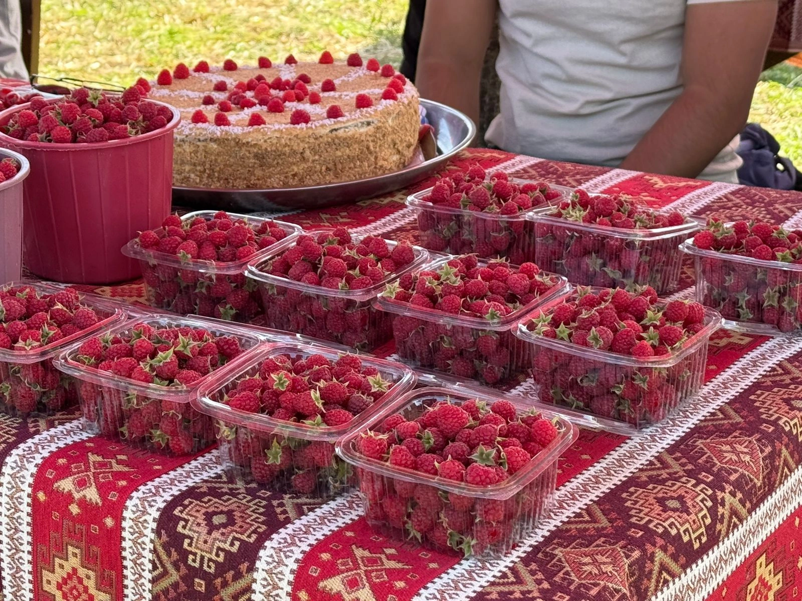 Göygöldə "Aqrar Biznes Festivalı" və "III Moruq festivalı" keçirilir - FOTO