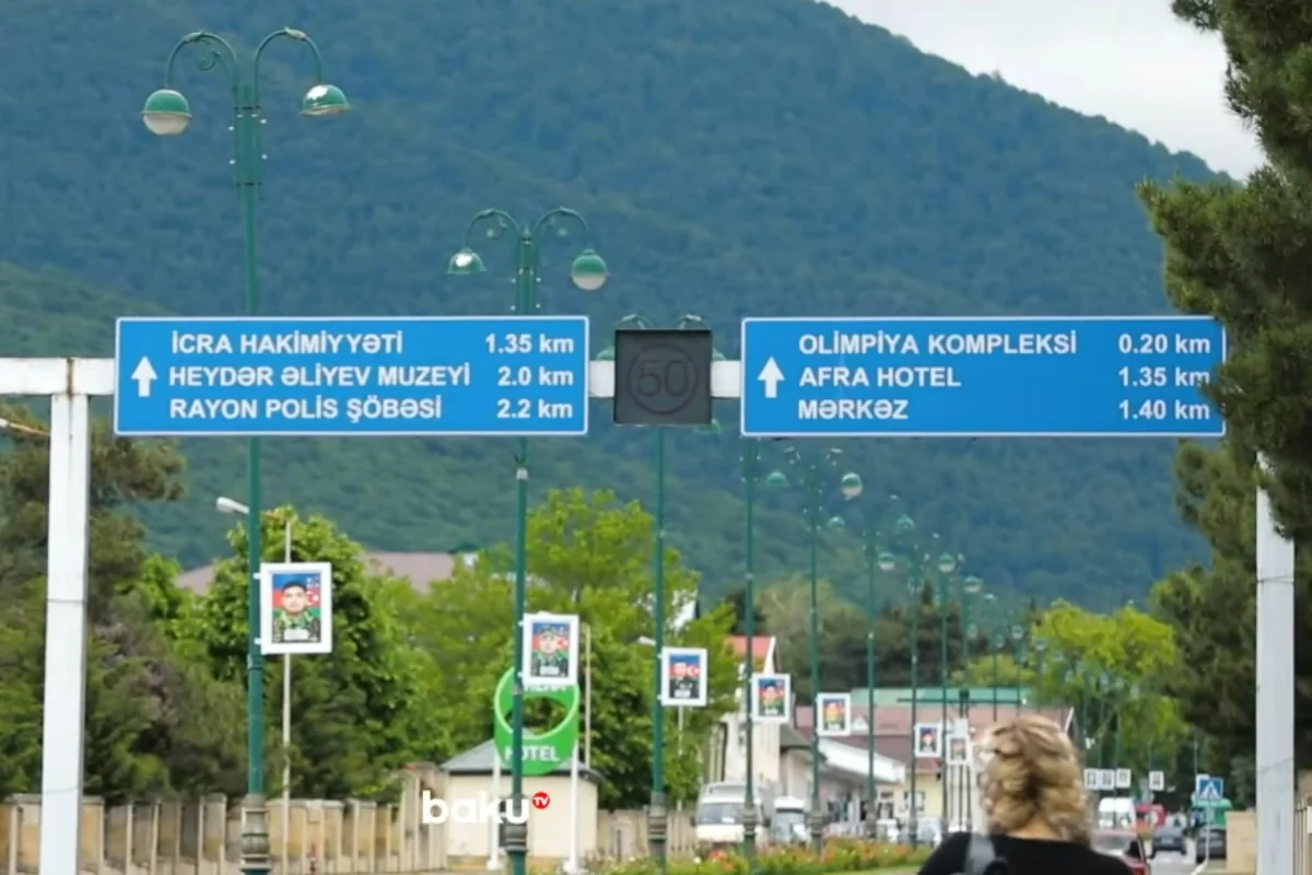 "Qatdım ayını qabağıma..." - Əhalisinin çoxunun vəfat etdiyi kənddən reportaj - VİDEO