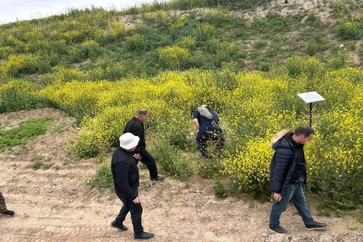 Ağdərə və Ağdamda yeni arxeoloji abidələr tapıldı - FOTO