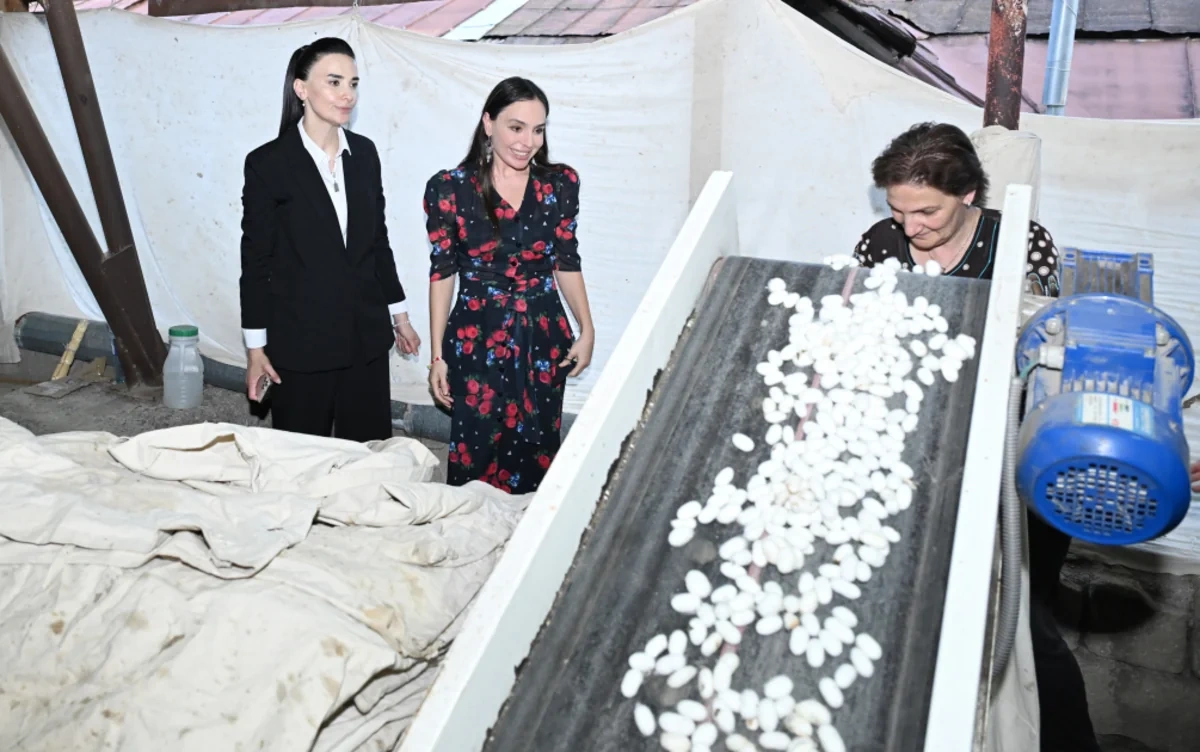 Leyla Əliyeva “Azəripək” ASC-nin fəaliyyəti ilə yaxından tanış oldu - FOTO