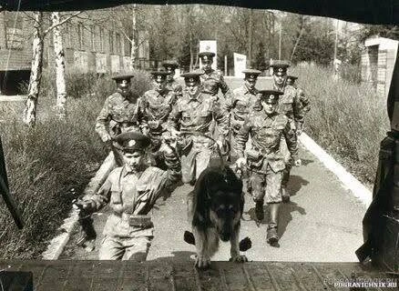 "Elçibəy Rusiya səfiri Şoniyaya qəti cavab verdi ki, rus zabitlərin ailəsi Göytəpədə qalmasın, hamısı çıxsın..."