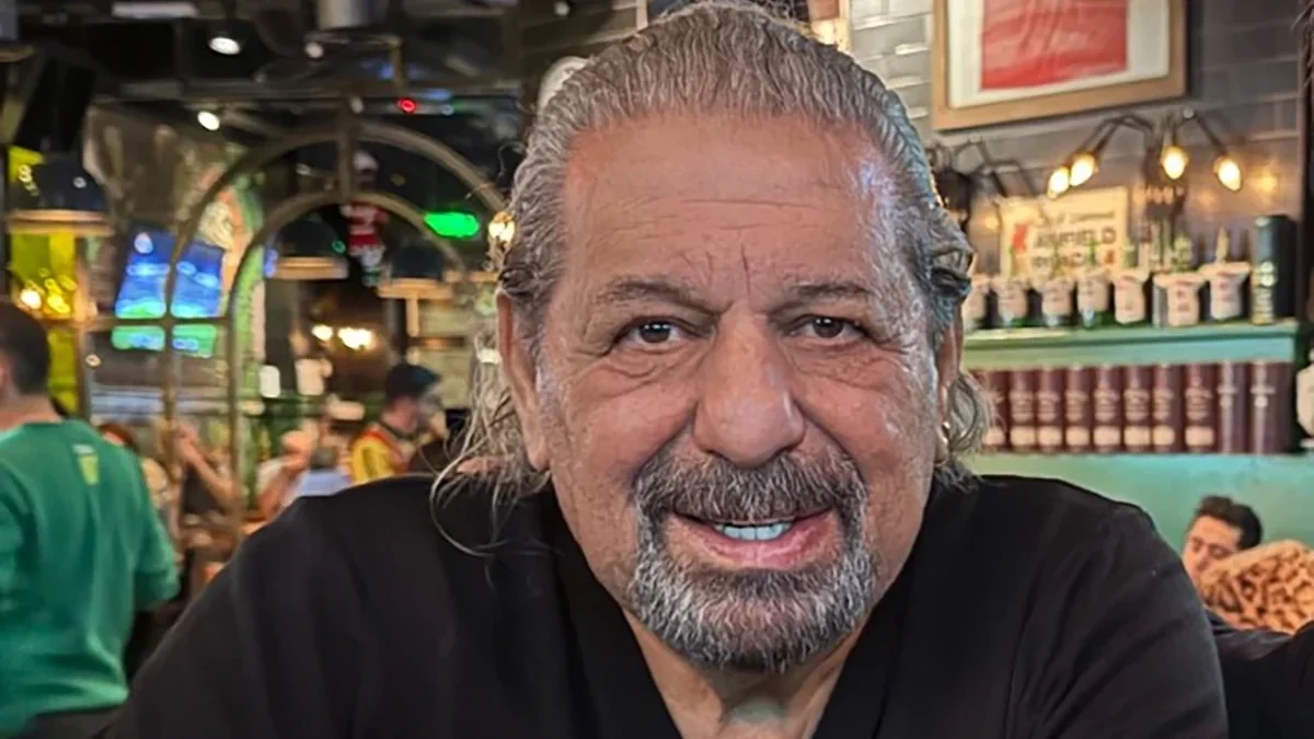 Məşhur şərhçi Erman Toroğlunun həbsi istənilir