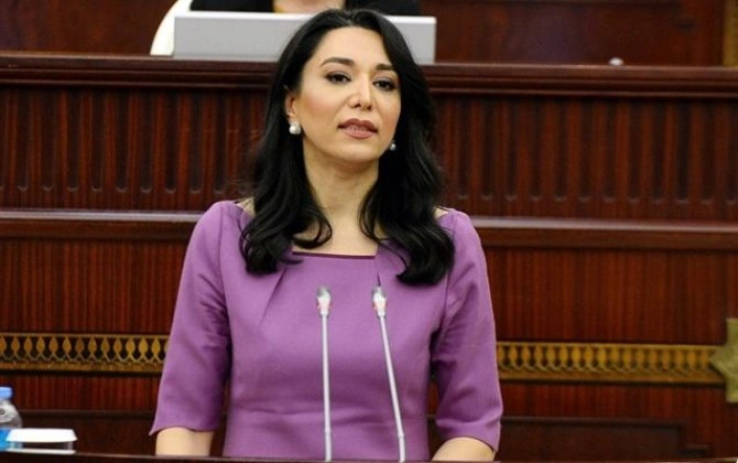Səbinə Əliyeva: Ermənistanlı hüquq müdafiəçisinin iddiaları əsassız və qərəzlidir