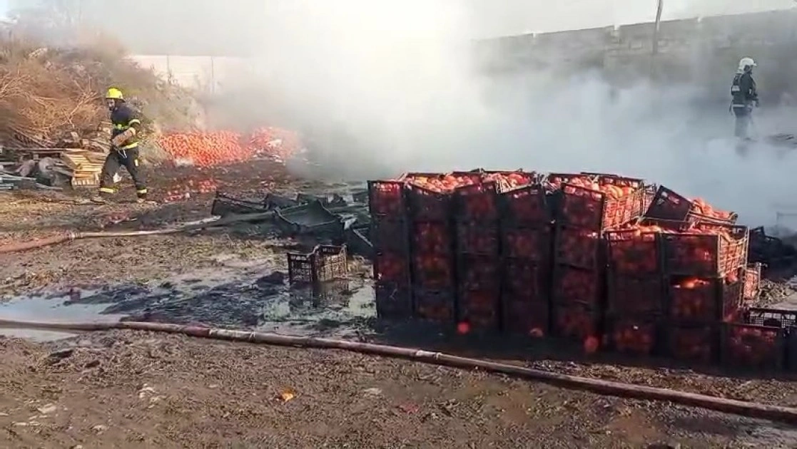 Zaqatalada xurma sexi yandı - FOTOLAR