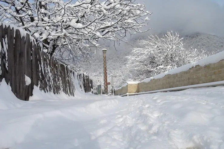 Zaqatala ağ örpəyə büründü - FOTOLAR