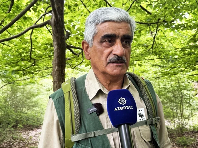 Hirkan meşələrində GİZLİ HƏYAT: Fototələlərdən NADİR GÖRÜNTÜLƏR