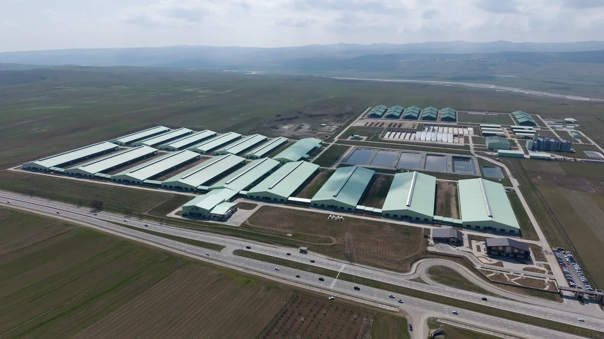 İlham Əliyev Şamaxıda "Şirvan Aqro" heyvandarlıq kompleksinin açılışında iştirak edib - FOTO