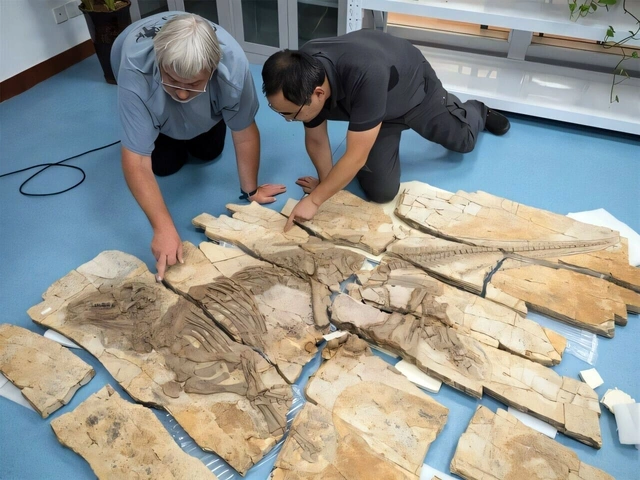 Çində tikanlı dinozavr qalıqları aşkar edilib