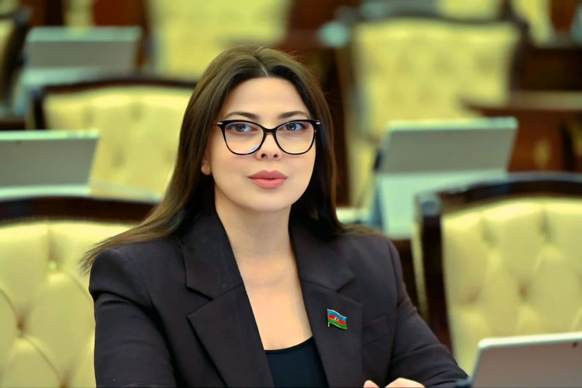 İlham Əliyevin Almaniyaya səfəri əməkdaşlığın dərinləşdirilməsi üçün mühüm diplomatik hadisədir - RƏY