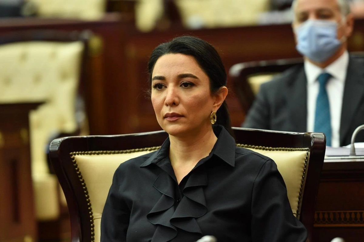 "Uşaqların sosial şəbəkələrdə hüquqlarının qorunması əsas istiqamətlərdəndir" – Səbinə Əliyeva
