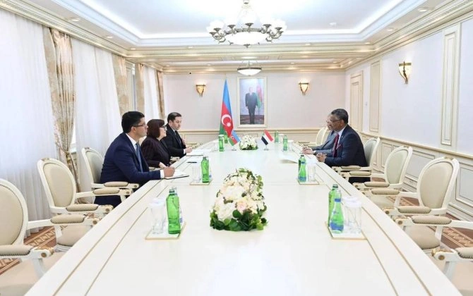 Sahibə Qafarova sudanlı səfirlə parlamentlərarası əməkdaşlığı müzakirə edib - FOTO