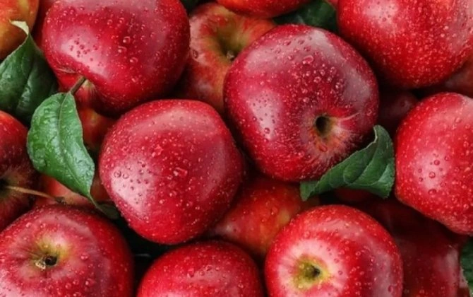 Almanı belə yemək daha faydalıdır - Onkoloqdan açıqlama